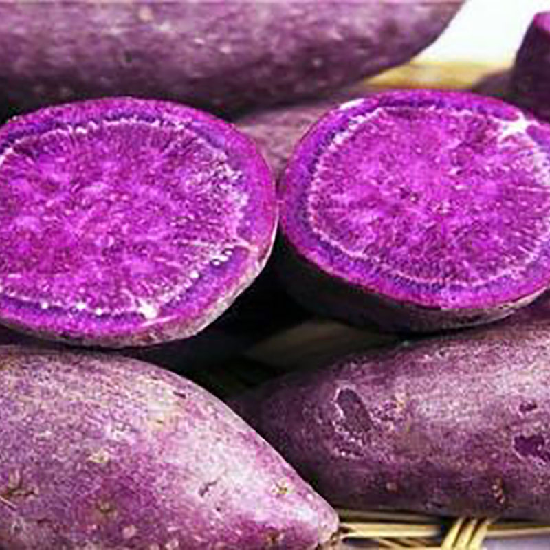 鲜食商品紫薯
